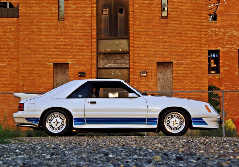 1985 Saleen Mustang 3