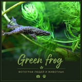 Green frog/фотосессии Барнаул