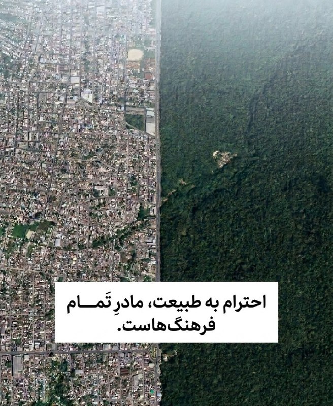 توییتی: در قلب آمازون، کلان‌شهر «مانائوس» در کشور برزیل، دقیقاً به یک خط مرزی رسیده که فراتر از آن نرفته است. این خط صاف و عجیب،