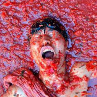 🍅Tomatocalypse Telegram Group Link