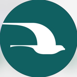 Telegram profile photo for MUSAFFO TURIZM | UMRA