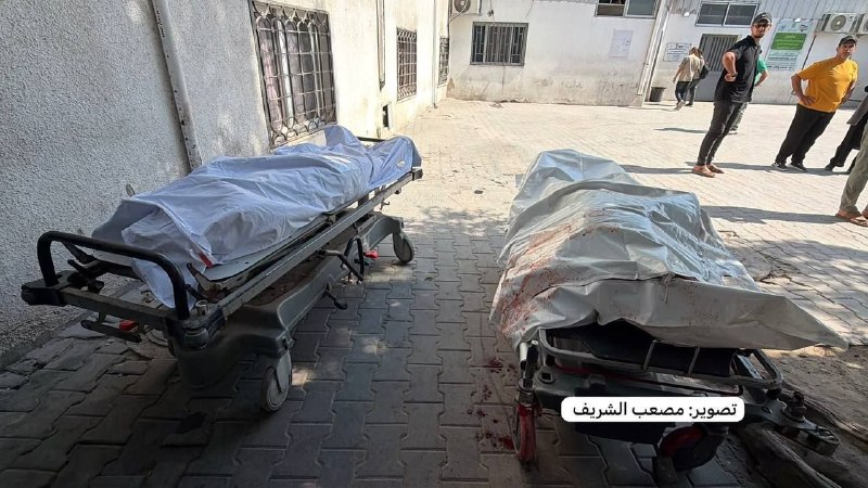 غزة تكافح لتحديد هوية الشهداء