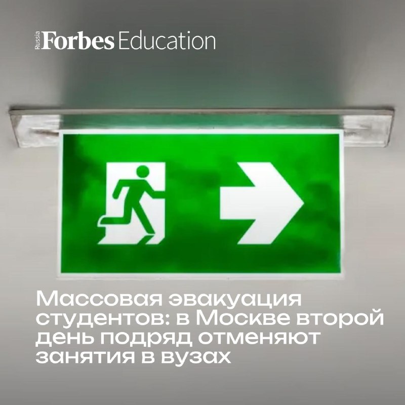 Иллюстрация к посту канала Forbes | Образование