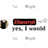 Щп пкф фкф 🥶🥶🤬💩😭