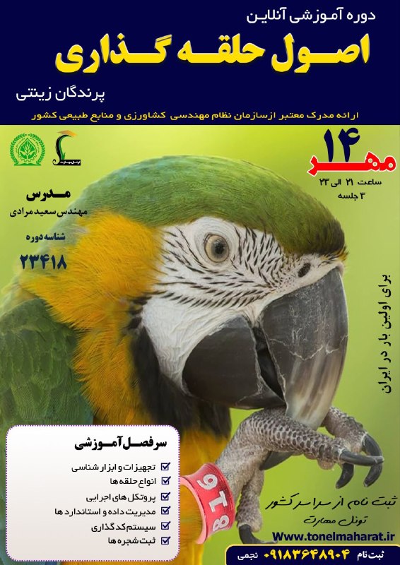 مرکزفنچ ایران: 👈دوره آموزشی آنلاین اصول حلقه گذاری پرندگان زینتی 👈برای اولین بار در ایران 👈ارائه مدرک معتبر،قابل استعلام و مدام العمر ا