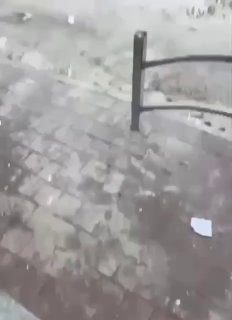 بن غفير يقتحم قرية تل السبع جنوب الأراضي المحتلة