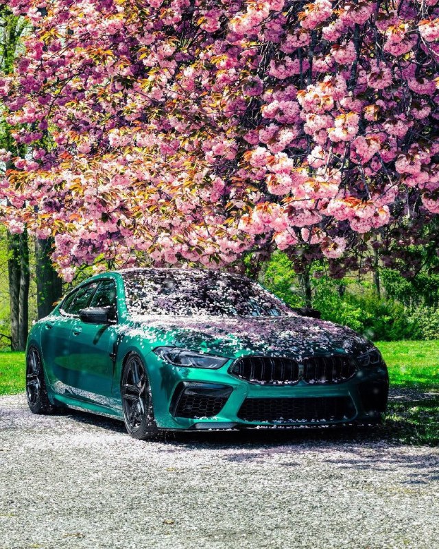 BMW M8https://t.me/bmw_mpower_club#bmw #freedurov #bmw_mpower_club
