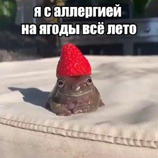 Аллергологи разрешили детям есть клубнику, помидоры и желтые фрукты — запрет признали опасным и решили отказаться от строгих диет. Сообщаем радостную новость именно во Всемирный день борьбы с аллергией.Медики говорят: если надолго лишить ребенка продуктов 