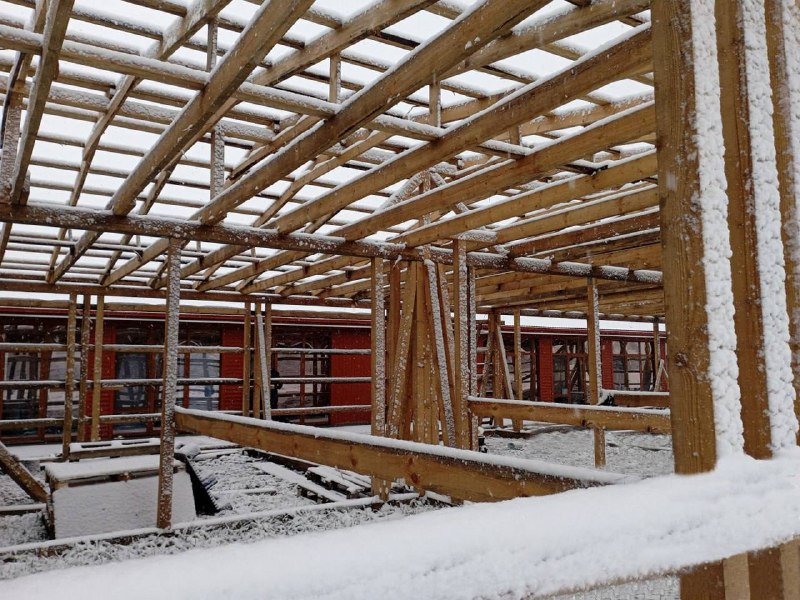 Приют для кошек открылся в Хасавюртовском районе фото