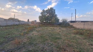Yukorichirchik tumani, Yik-ota (Nazarovul), 18 sot