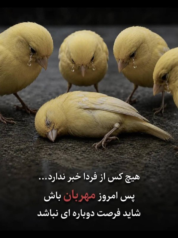 زندگـی شیرینـ 🌹Nana: مهربان باش هيچ كساز فرداى خود خبر ندارد.✾࿐༅🍃🌸🍃༅࿐✾ 🧿💓@Kapfko💓🧿
