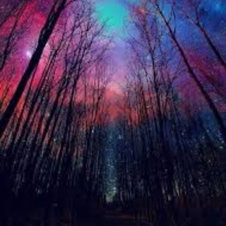 Eukaliptus Telegram Group Link