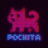 Pochita Portal
