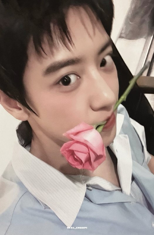 𝑻𝒐 𝒀𝒆𝒐𝒍𝒊𝒆🍒: I found it!I found it!