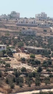 מתנחלים משחררים את בעלי החיים שלהם בין בתי התושבים בח'רבתי אלרחניה והמרכז במסאפר יטא, דרומית לחברון.