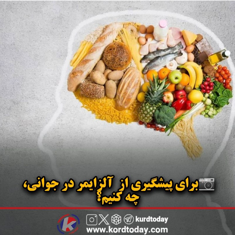 Kurdtodayکانال کوردتودی: 📷برای پیشگیری از آلزایمر در جوانی، چه کنیم؟بر اساس نتایج محققان برای کمک به پیشگیری از زوال عقل، ورزش بدنی انجام دهند. ی