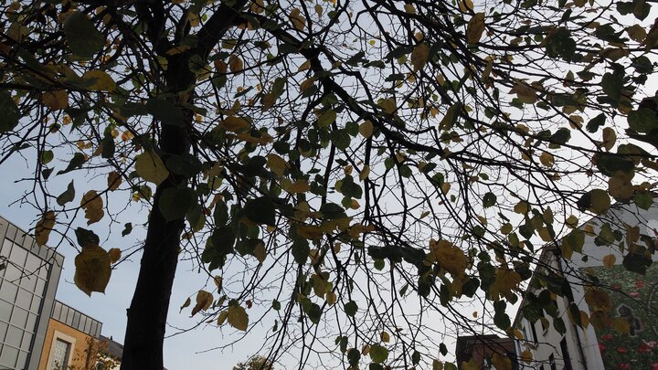 Northern Ireland｜一人、兩人、三人