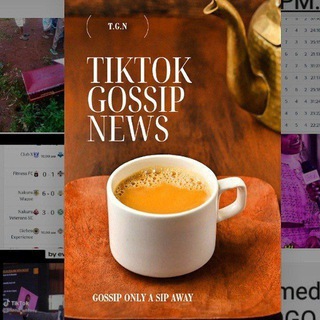 TikTok gossip newspro
