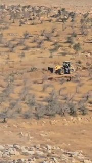 مستوطنون يقتلعون أشجار زيتون وعنب من أراضي المنيا جنوب بيت لحم