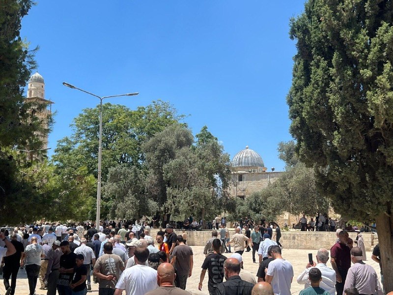 רשת חדשות ירושלים
