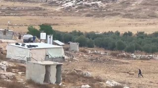 מתנחלים הסתערו על ח'רבת אל-ח'ראבה, מזרחית לעיירה אל-סמו, דרומית לחברון, ושחררו את בעלי החיים שלהם בין בתי התושבים.