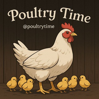Poultry Time🐣