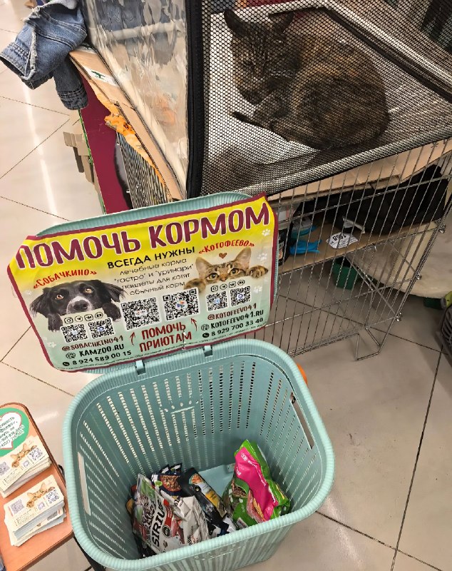 В минувшую субботу в зоомаркете "Белый кролик",...