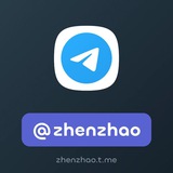 @zhenzhao 真照 NFT