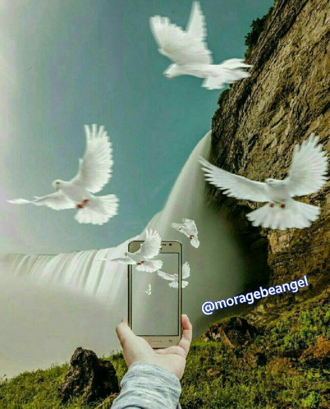 فرشتگان مراقبه جذب: #با_خودت_تکرار_کن🌸من امروز پذیرای هر آنچه کائنات و فرشتگان برایم ارسال میکنند، هستم. من خوشبختی را می پذیرم.« خداوندا سپ