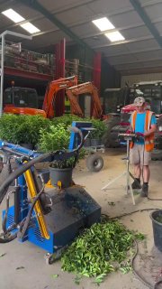 This specialized, high-speed trimming machine transforms regular potted plants into perfectly uniform ball shapes in just seconds.Did you know? 🎓