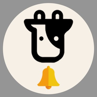 Beefy Finance Announcements Telegram Group Link