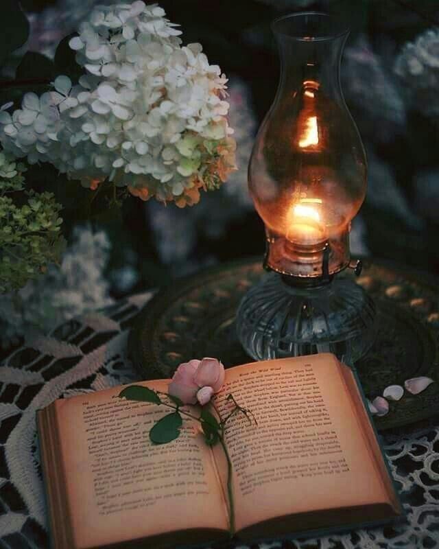 ⭐️جواهری فیروزه(ارمان)⭐️: شبتان ارام ارام شب خوش مشاهده بیشتر در:اینستاگرام👇🏼https://www.instagram.com/armantala_?igsh=MWhsaXZqOHkxNWxwNgواتس اپ👇🏼