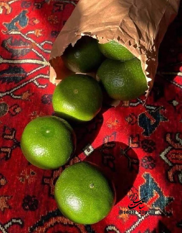 کلیپ،اِستوری: پاییز داره میاد.بیا که قدمت مبارک باشه.🆔@clipstury