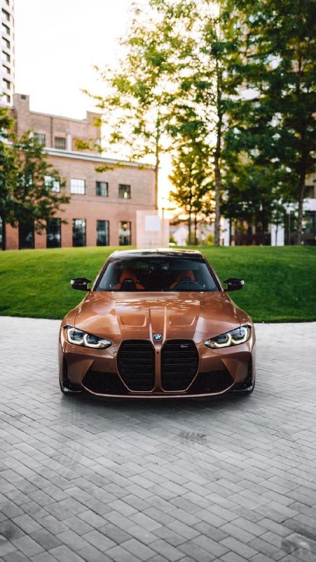 https://t.me/bmw_mpower_club