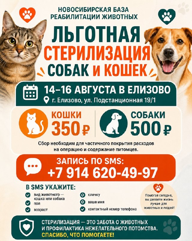 @help_animal41 posted a photo