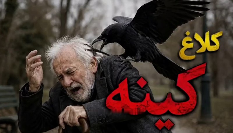 کانال رسمی دیارمیرزا: 🐦⬛️کینه عجیب یک کلاغ از مردی که جوجهاش را نجات داد!🔸ویدیویی در شبکههای اجتماعی مورد توجه قرار گرفته است که نشان میده
