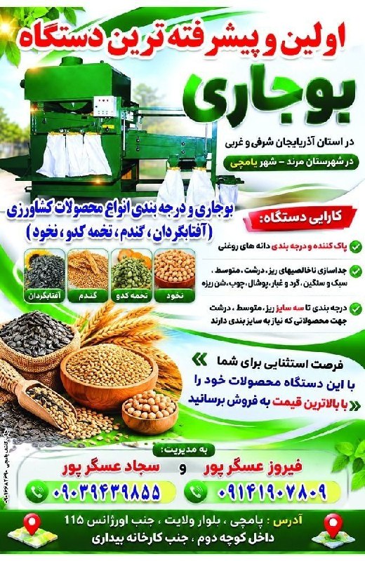 یامچی سسی | Yamchi sasii: 🟣 Yamchi_sasii