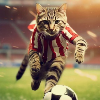 True 💰Money in 🇧🇷Brazil Telegram Group Link