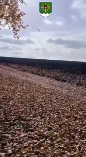 האוקראיני נמלט למולדובה, טס מעל הגבול במטוס ממונע