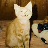 алло это угктид???