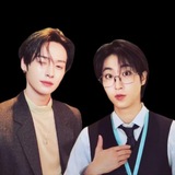БРЕДНИ SKZ NEW.