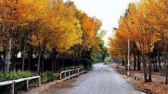 ■ کانال اصفهانی ها ■: 🔴 تکمیل آسفالت خیابان جنگلبان ناژوان اصفهان🔺قائلی؛ مدیر ناژوان شهرداری اصفهان : 🔸 عملیات زیرسازی و روسازی آسفالت این مسی