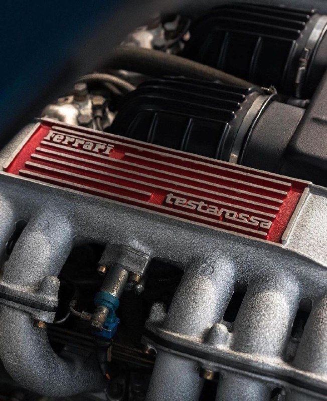 Blue Sera Testarossa 8