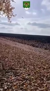 אוקראיני חצה את גבול מולדובה על מצנח רחיפה ממונע, כך דיווחה משטרת הגבולות של מולדובה.
