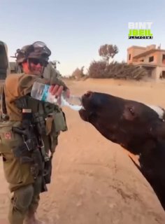 מצעד הומניטרי של חיילי הכיבוש מול העדשות בבינת ג'בייל... צילומי פרות מושקות כדי לכסות פשעי רצח ורצח עם&33;