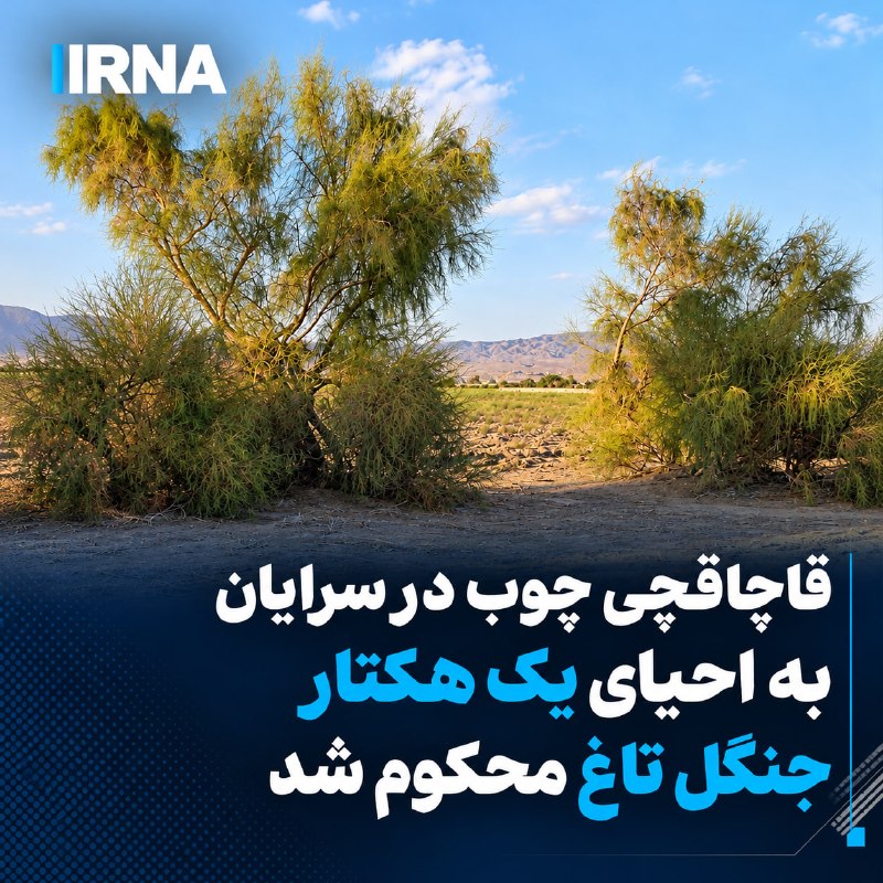 خبرگزاری جمهوری اسلامی - ایرنا: 🔹 سرپرست منابع طبیعی خراسان جنوبی گفت: یک فرد متخلف در زمینه قطع و تخریب پوشش گیاهی مناطق بیابانی شهرستان سرایان در حکمی