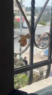 עקבו אחרי סאפא| כוחות ישראל עוצרים צעיר ומתעללים בו בעיירה סינג'יל, מצפון לרמאללה