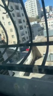 עקבו אחר היבט נוסף של כוחות הכיבוש מסתערים על בניין מגורים ברחוב טל ליד מסגד אל-נור בשכם.