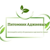 Питомник Аджиевых