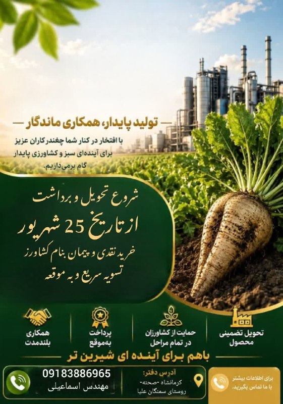 چمچمالی ها 🌹: 📣 خبر خوب برای چغندر کاران عزیز صحنه، بیستون و دینور و کرمانشاه 🔹️تسویه به موقع🔹کرایه حمل رایگان🔸همکاری بلند مدت و پایدا